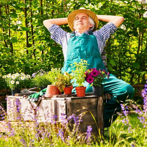 gardener looking after garden in his property