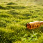 tips for home owners taking care of garden and property