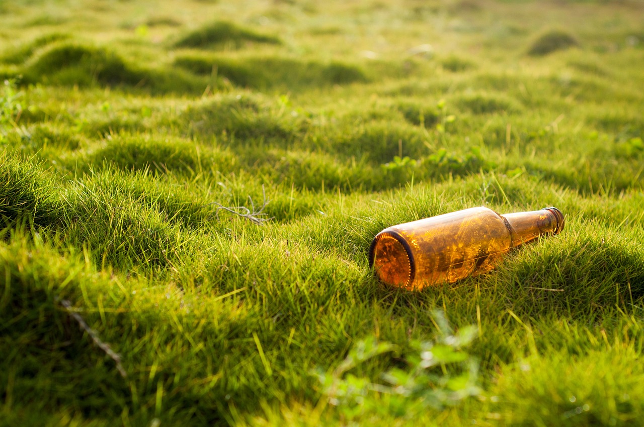 tips for home owners taking care of garden and property