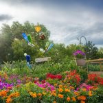 flowers in a garden bed planted by green and groom