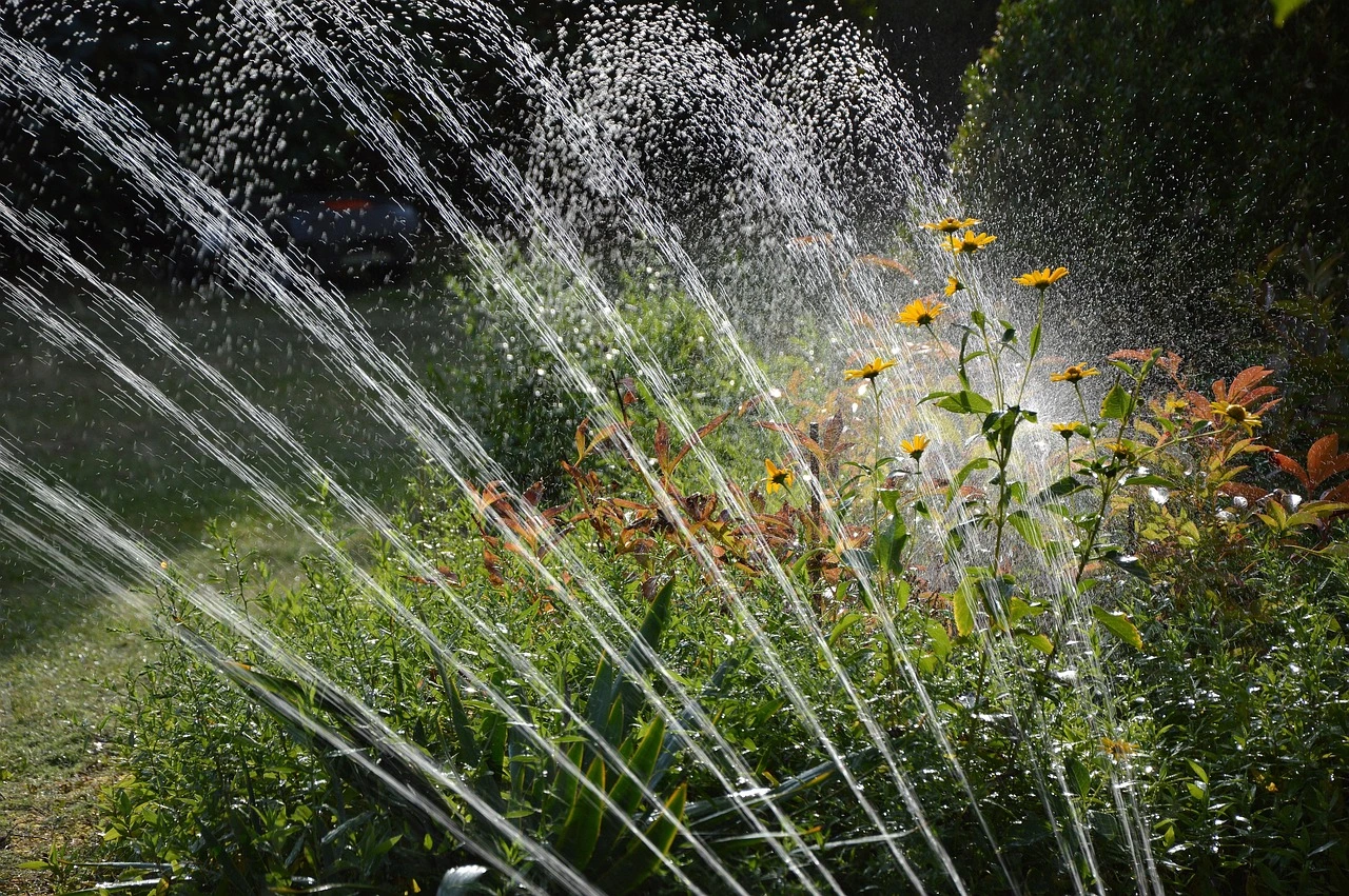 Low-maintenance garden in melbourne
